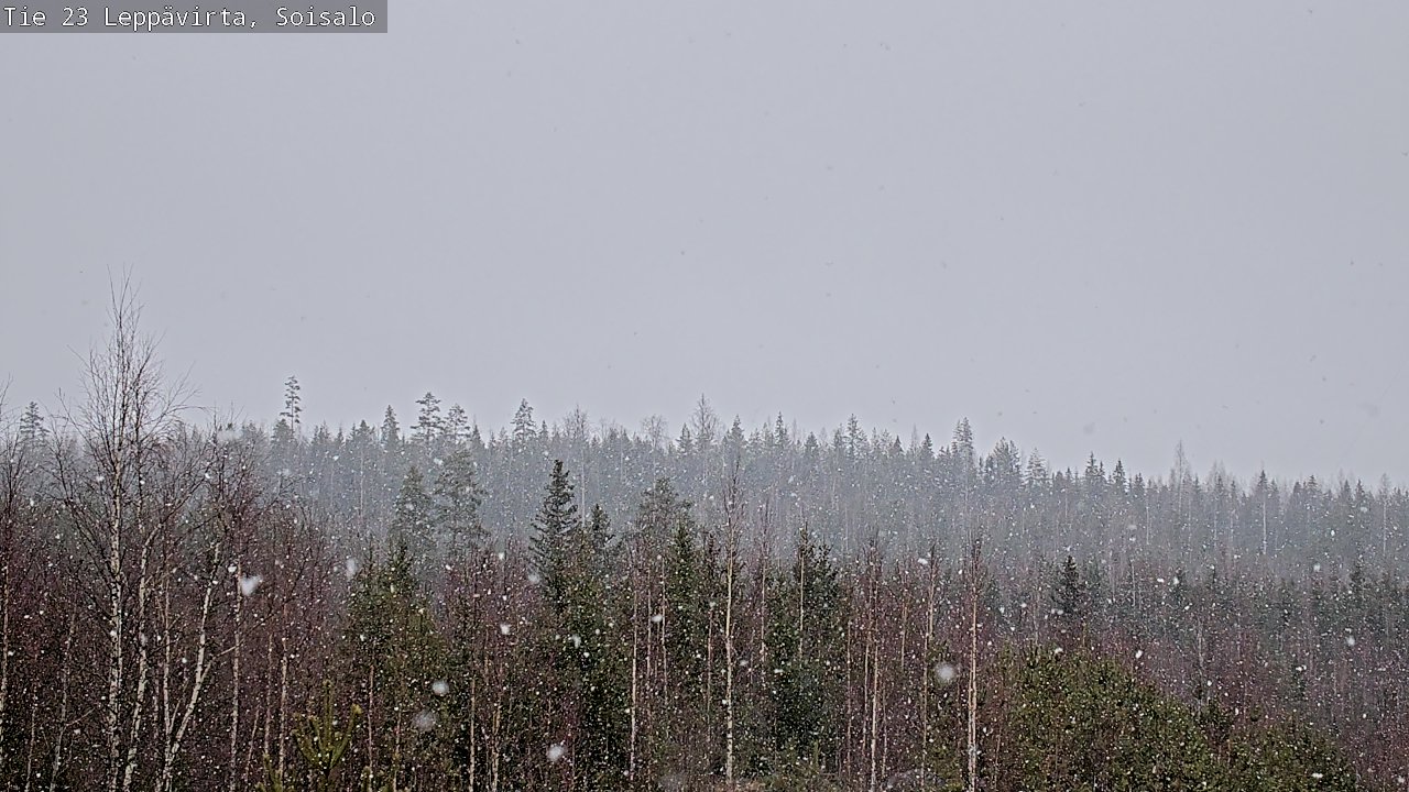 Weather Camera Image Road 23 Leppävirta, Soisalo, Leppävirta, Pohjois-Savo