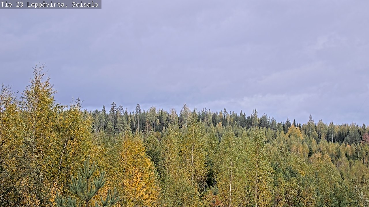 Weather Camera Image Väg 23 Leppävirta, Soisalo, Leppävirta, Pohjois-Savo