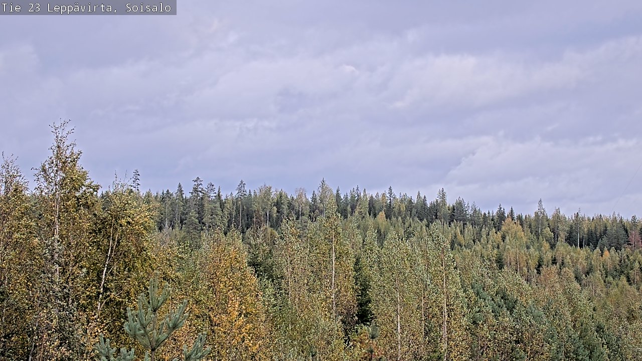 Weather Camera Image Väg 23 Leppävirta, Soisalo, Leppävirta, Pohjois-Savo