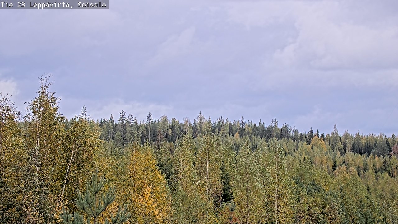 Weather Camera Image Väg 23 Leppävirta, Soisalo, Leppävirta, Pohjois-Savo