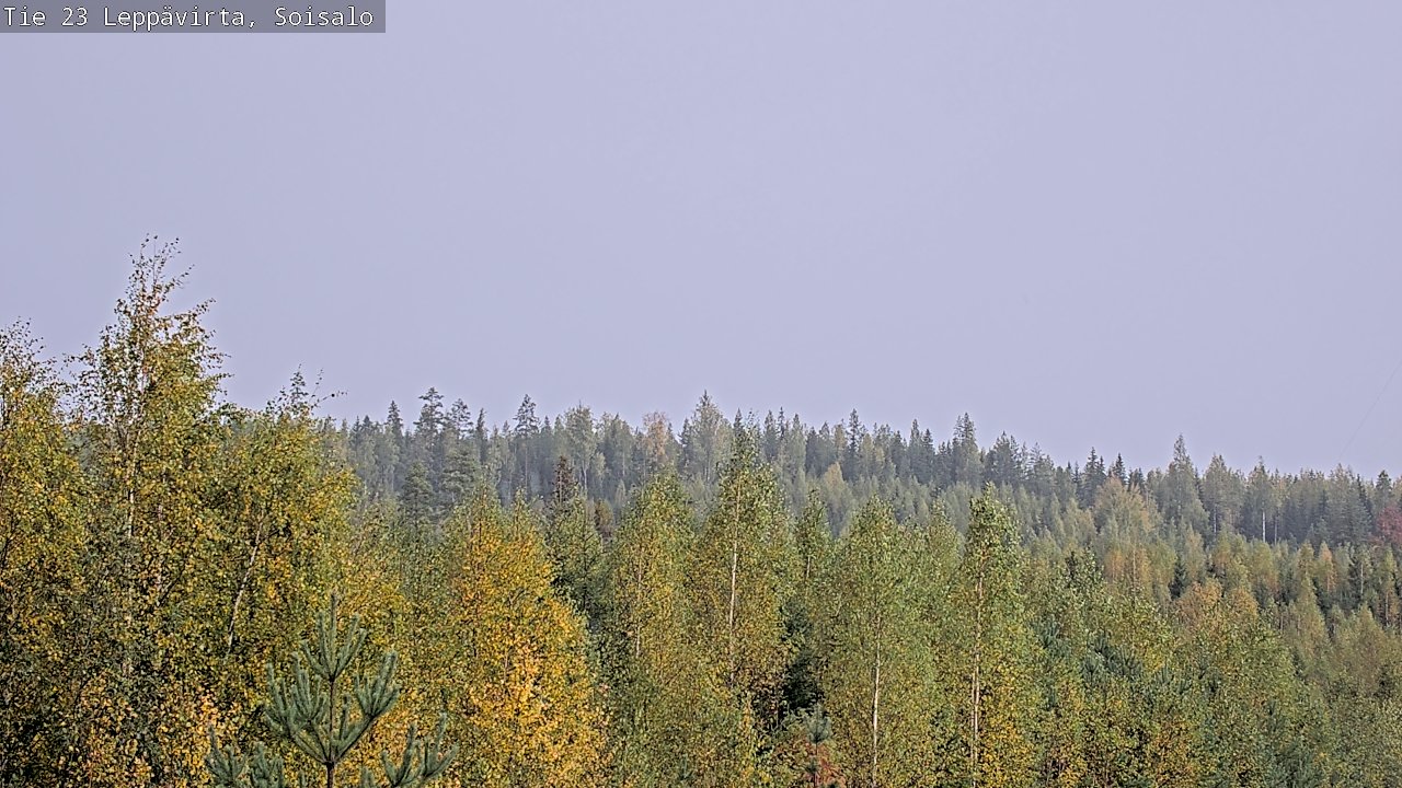 Kelikamerat Kuva Tie 23 Leppävirta, Soisalo, Leppävirta, Pohjois-Savo