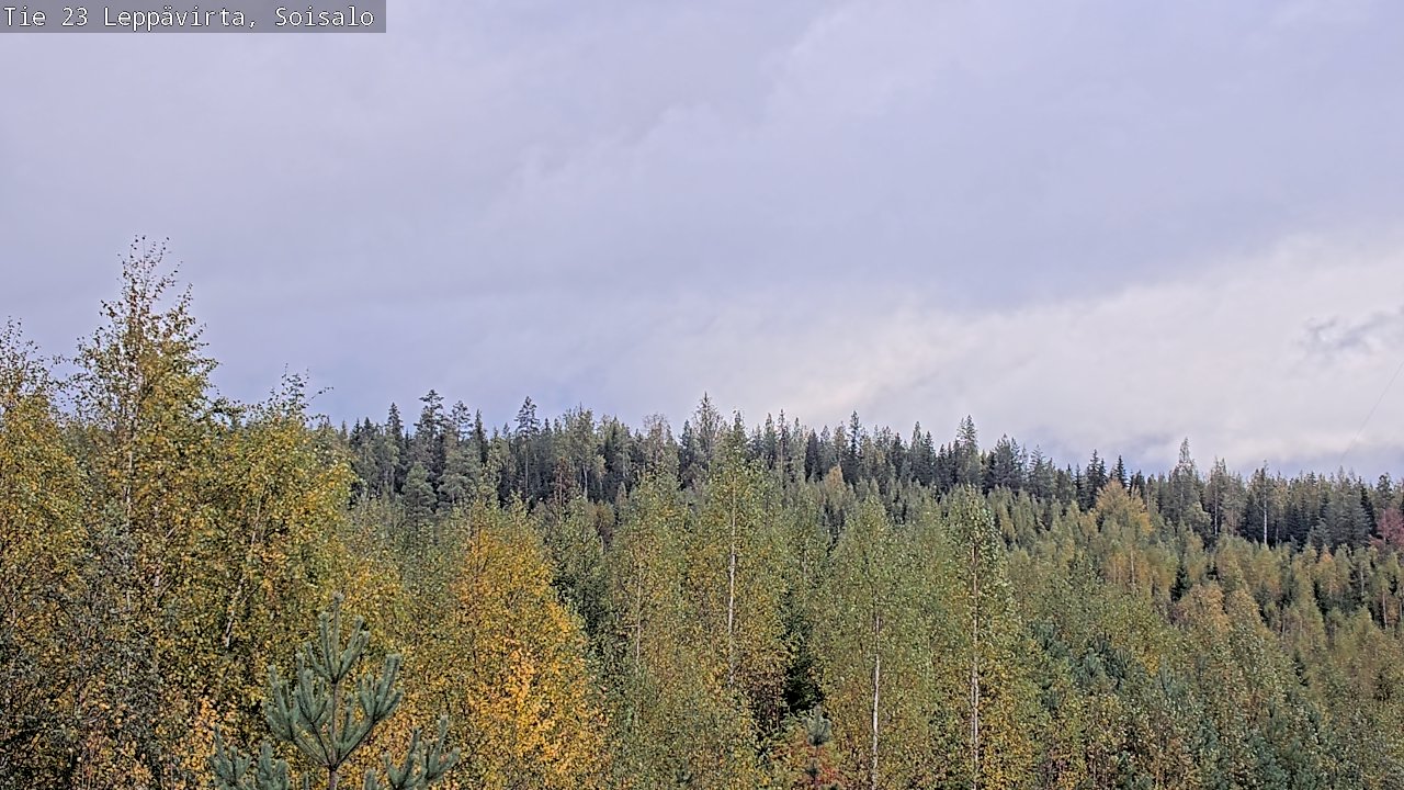 Weather Camera Image Väg 23 Leppävirta, Soisalo, Leppävirta, Pohjois-Savo