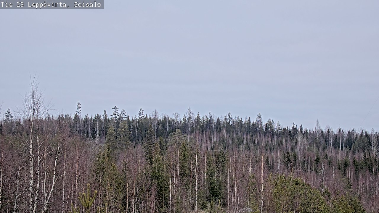 Kelikamerat Kuva Tie 23 Leppävirta, Soisalo, Leppävirta, Pohjois-Savo