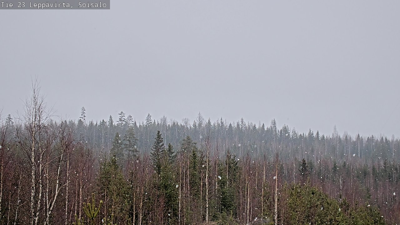Weather Camera Image Road 23 Leppävirta, Soisalo, Leppävirta, Pohjois-Savo