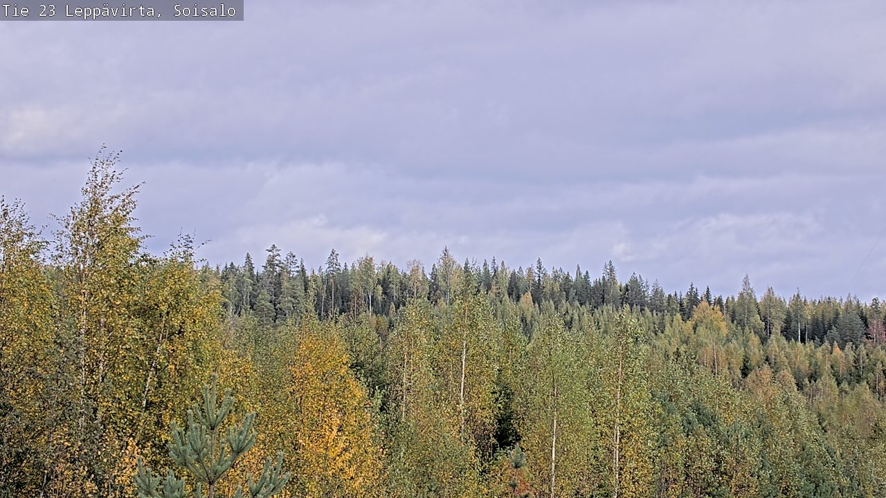 Weather Camera Image Väg 23 Leppävirta, Soisalo, Leppävirta, Pohjois-Savo