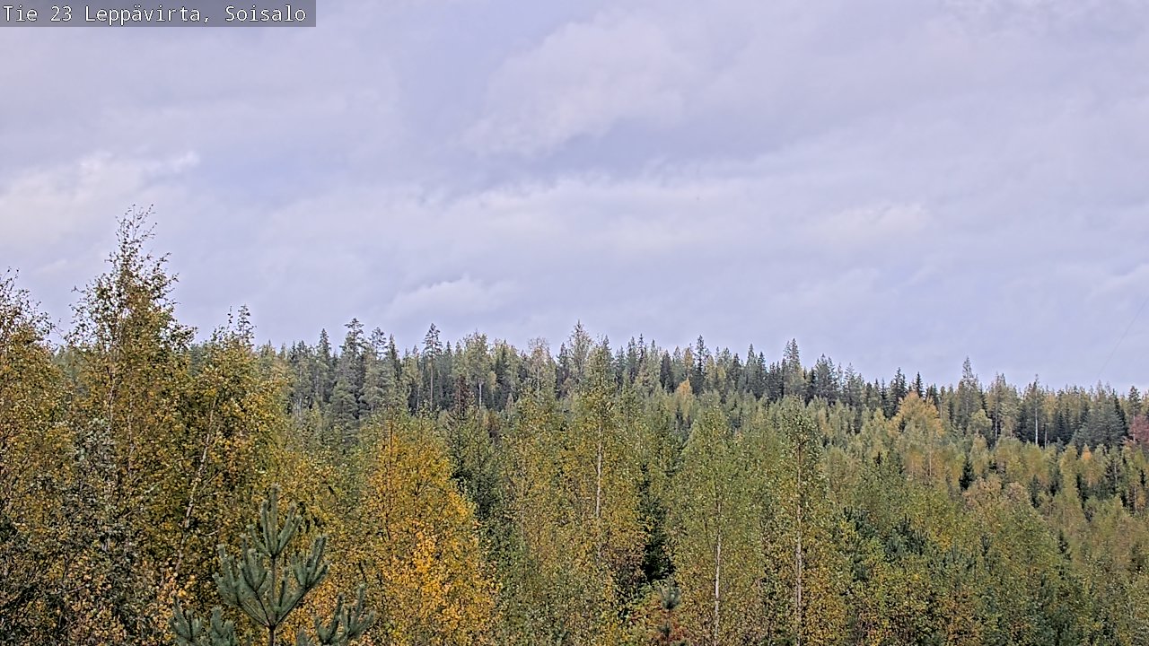 Weather Camera Image Väg 23 Leppävirta, Soisalo, Leppävirta, Pohjois-Savo