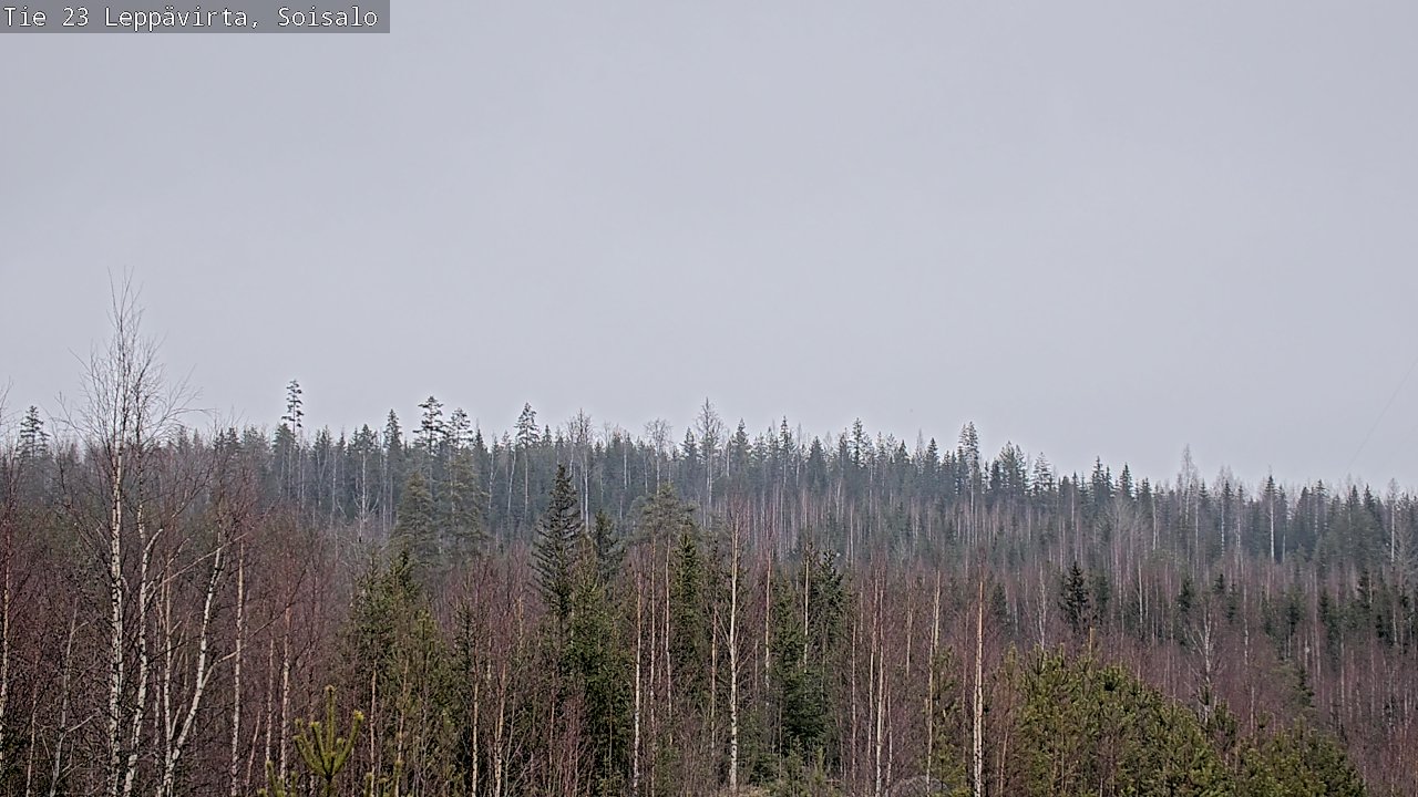 Weather Camera Image Road 23 Leppävirta, Soisalo, Leppävirta, Pohjois-Savo