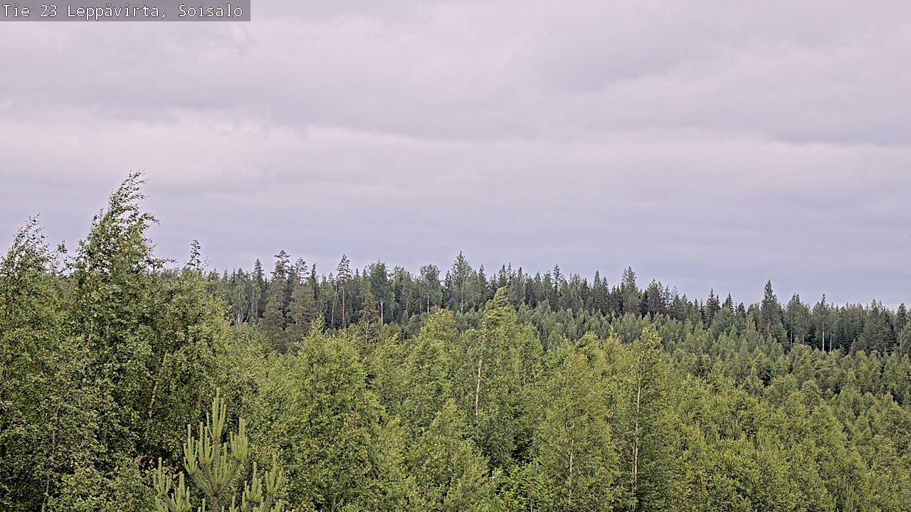 Weather Camera Image Väg 23 Leppävirta, Soisalo, Leppävirta, Pohjois-Savo