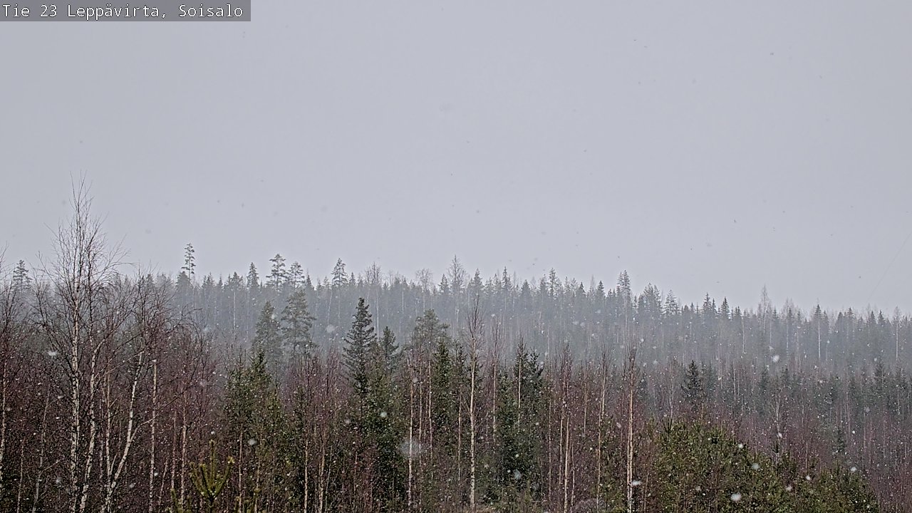 Weather Camera Image Road 23 Leppävirta, Soisalo, Leppävirta, Pohjois-Savo