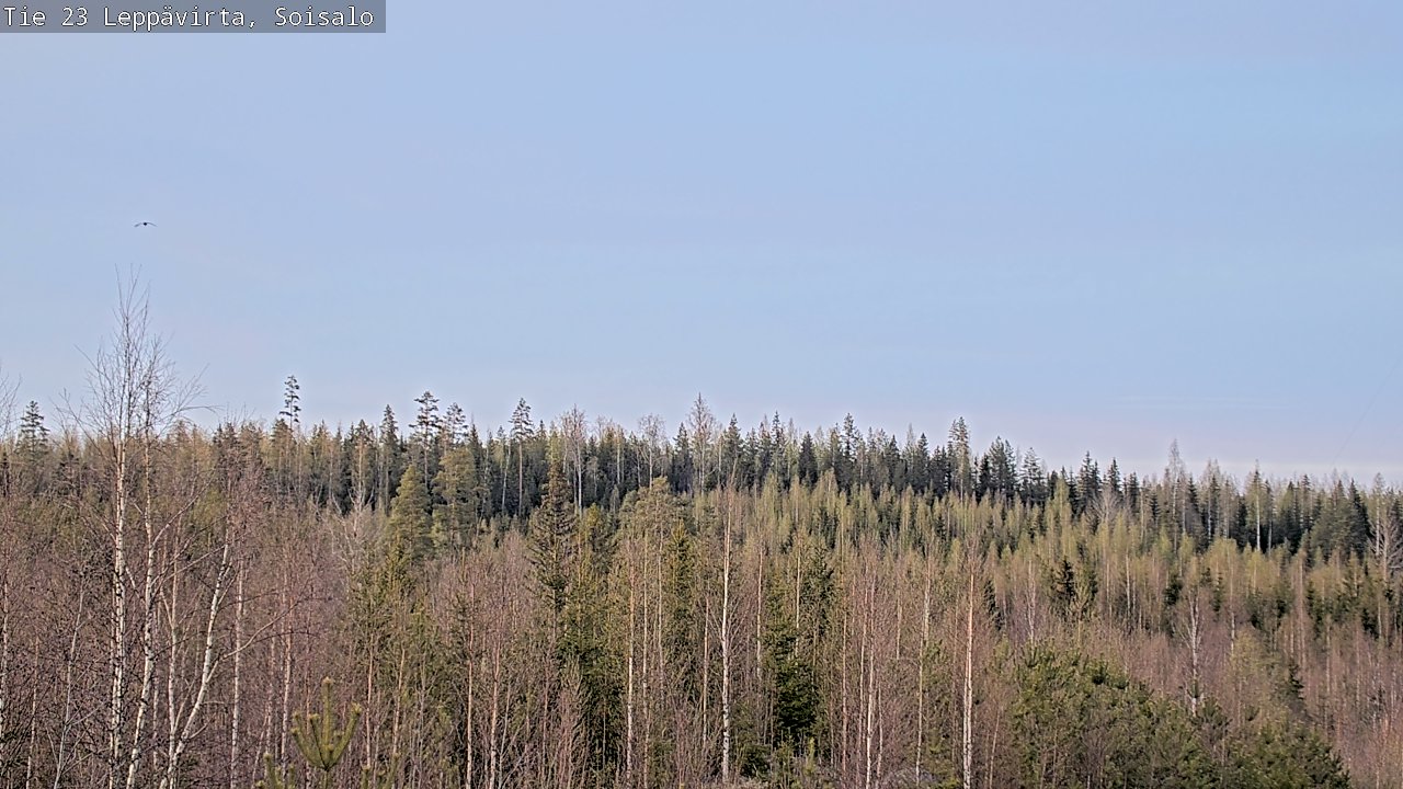 Weather Camera Image Väg 23 Leppävirta, Soisalo, Leppävirta, Pohjois-Savo