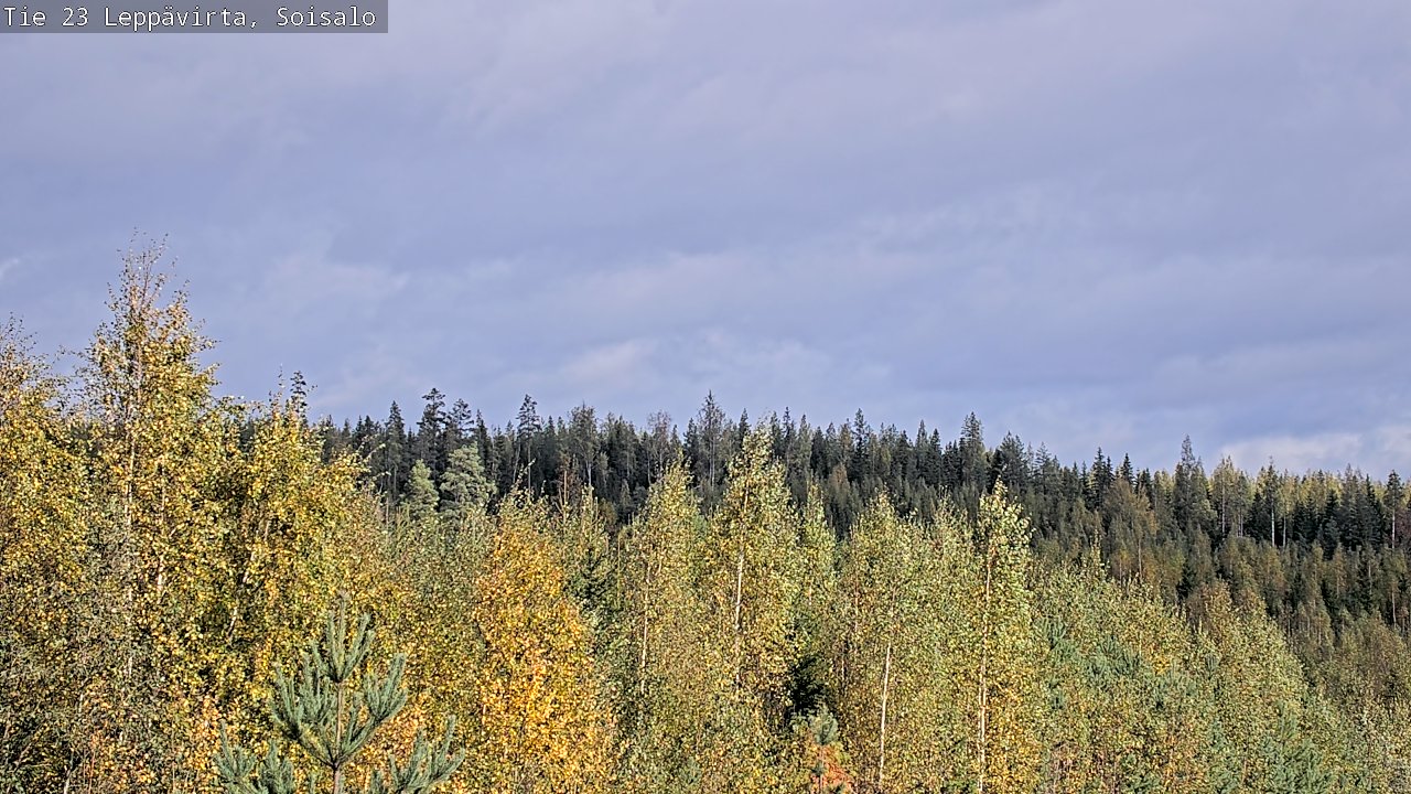 Weather Camera Image Väg 23 Leppävirta, Soisalo, Leppävirta, Pohjois-Savo