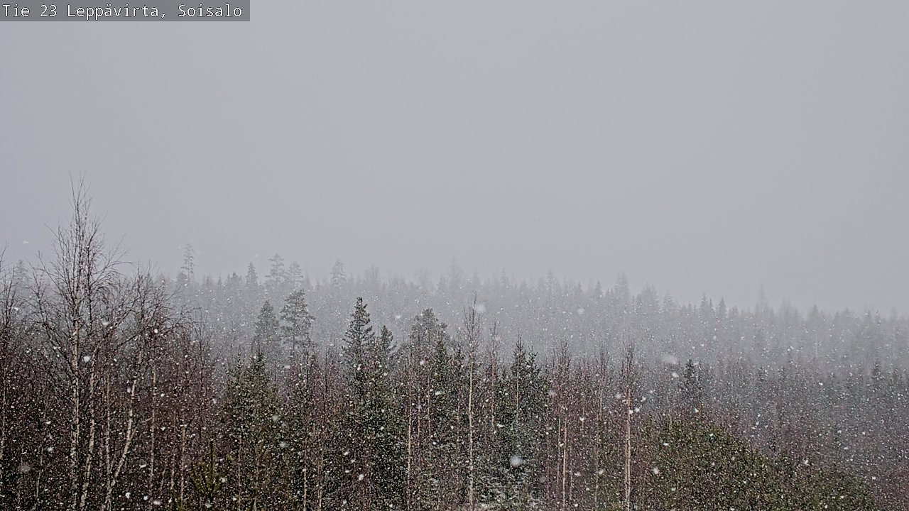 Kelikamerat Kuva Tie 23 Leppävirta, Soisalo, Leppävirta, Pohjois-Savo
