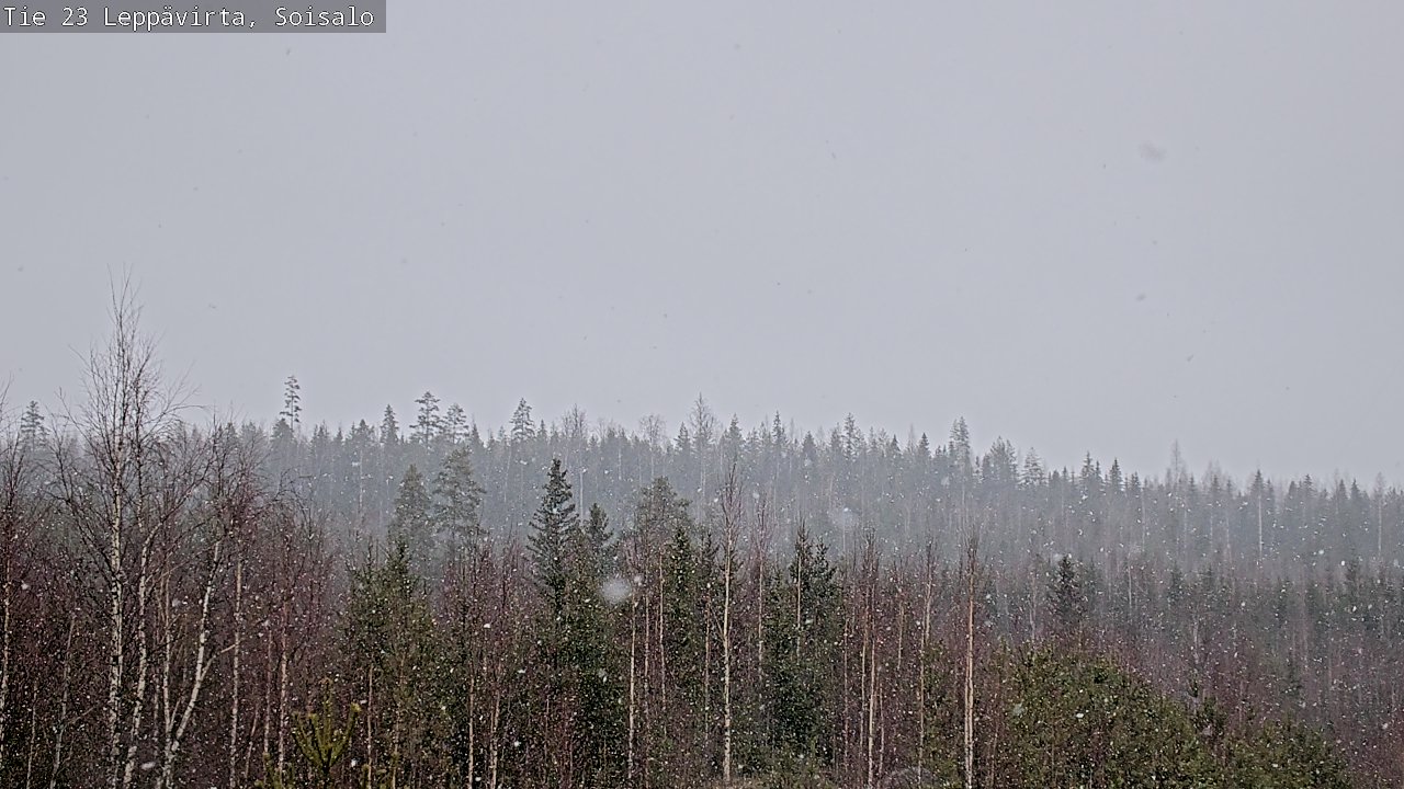 Weather Camera Image Road 23 Leppävirta, Soisalo, Leppävirta, Pohjois-Savo