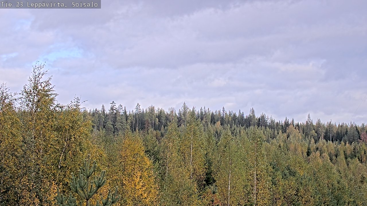 Weather Camera Image Väg 23 Leppävirta, Soisalo, Leppävirta, Pohjois-Savo