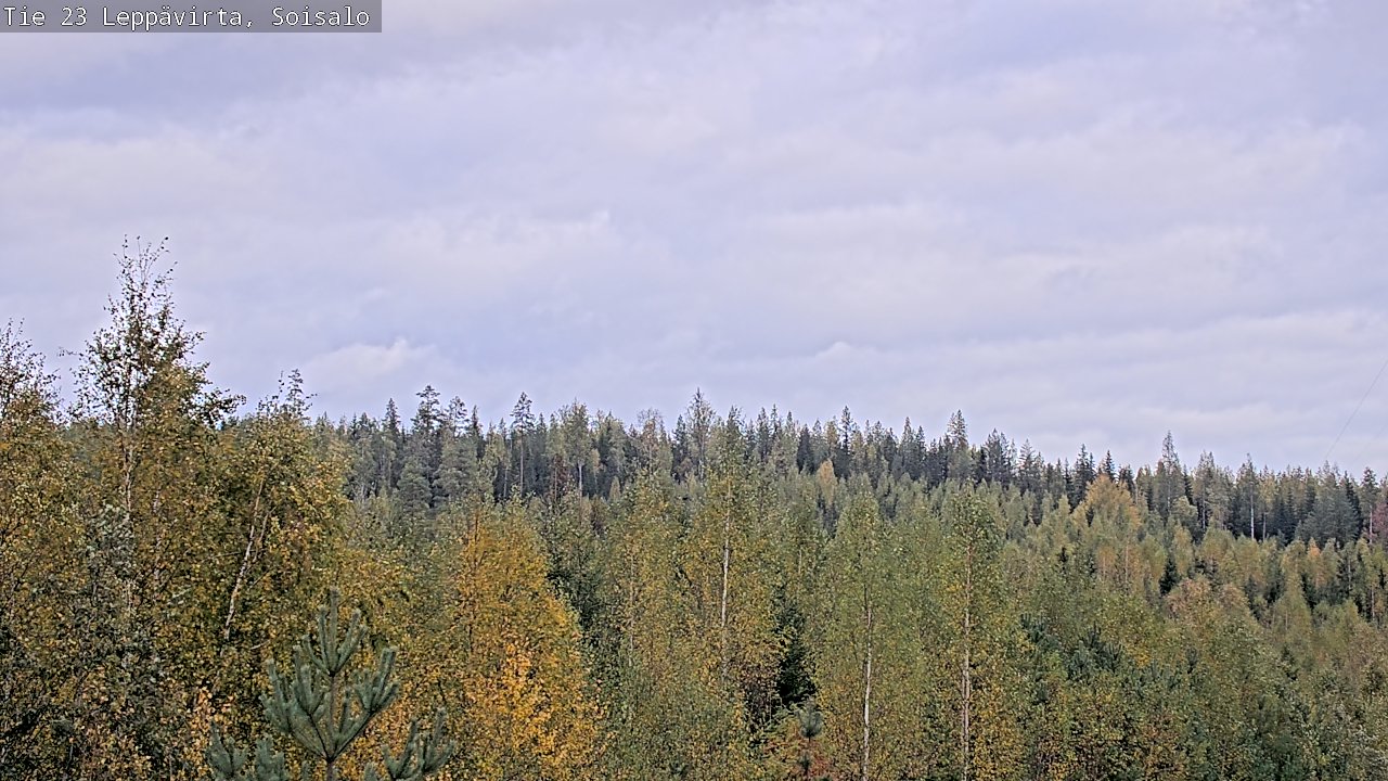 Weather Camera Image Väg 23 Leppävirta, Soisalo, Leppävirta, Pohjois-Savo