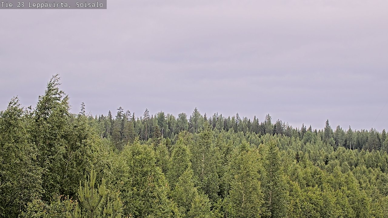 Weather Camera Image Väg 23 Leppävirta, Soisalo, Leppävirta, Pohjois-Savo