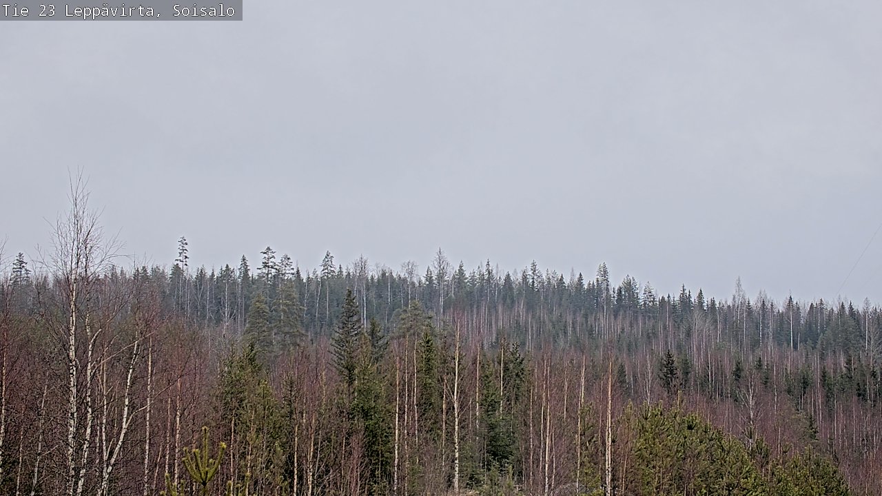 Kelikamerat Kuva Tie 23 Leppävirta, Soisalo, Leppävirta, Pohjois-Savo
