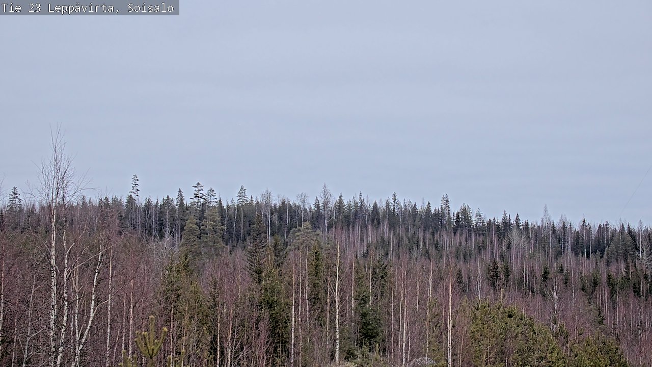 Kelikamerat Kuva Tie 23 Leppävirta, Soisalo, Leppävirta, Pohjois-Savo