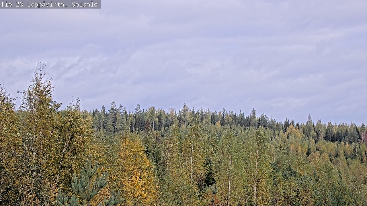 Weather Camera Image Väg 23 Leppävirta, Soisalo, Leppävirta, Pohjois-Savo
