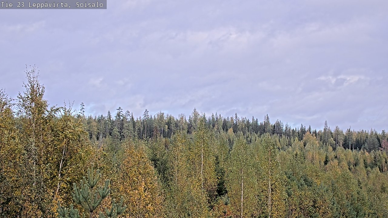 Weather Camera Image Väg 23 Leppävirta, Soisalo, Leppävirta, Pohjois-Savo