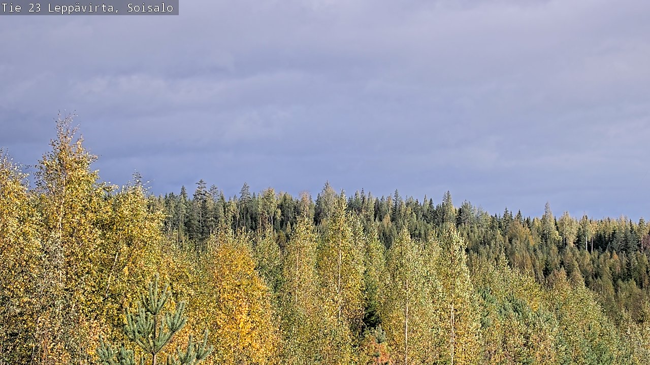 Weather Camera Image Väg 23 Leppävirta, Soisalo, Leppävirta, Pohjois-Savo
