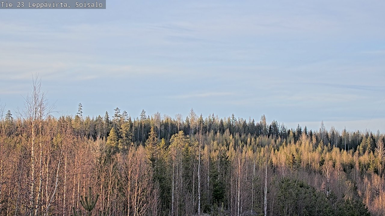 Weather Camera Image Väg 23 Leppävirta, Soisalo, Leppävirta, Pohjois-Savo