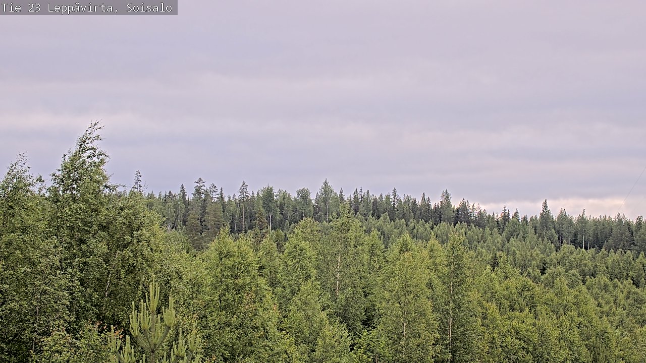 Weather Camera Image Väg 23 Leppävirta, Soisalo, Leppävirta, Pohjois-Savo
