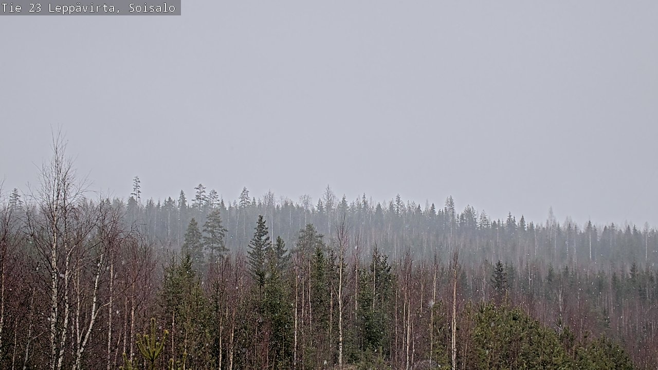 Weather Camera Image Road 23 Leppävirta, Soisalo, Leppävirta, Pohjois-Savo