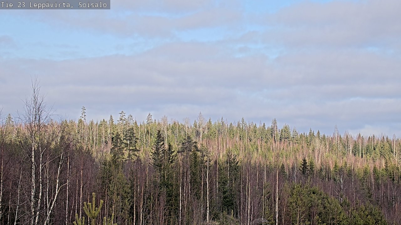 Kelikamerat Kuva Tie 23 Leppävirta, Soisalo, Leppävirta, Pohjois-Savo