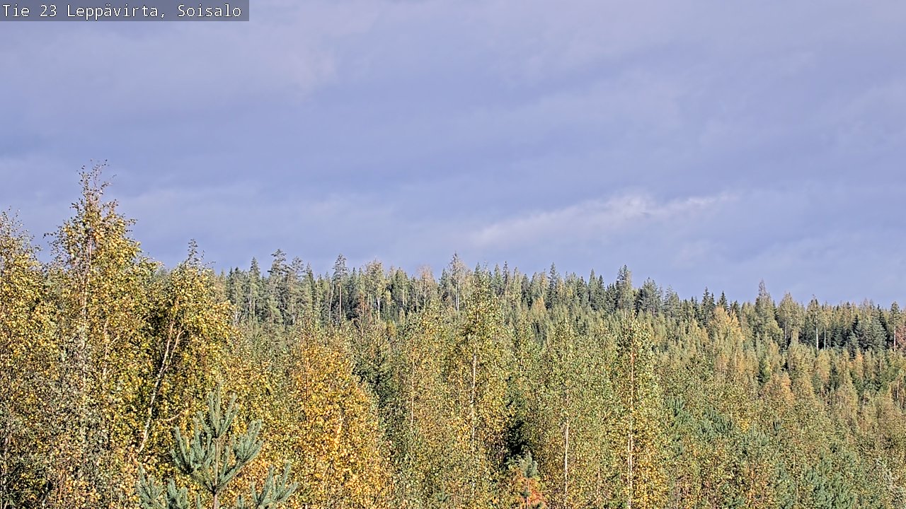Weather Camera Image Väg 23 Leppävirta, Soisalo, Leppävirta, Pohjois-Savo