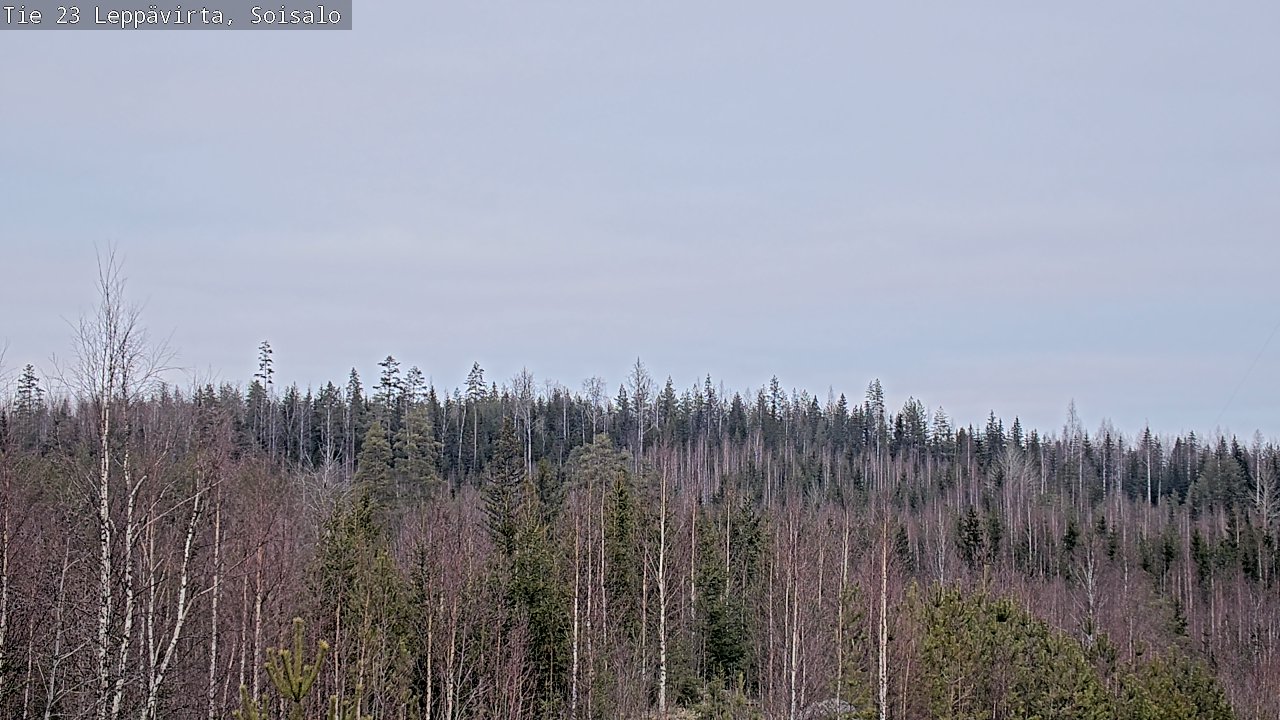Kelikamerat Kuva Tie 23 Leppävirta, Soisalo, Leppävirta, Pohjois-Savo