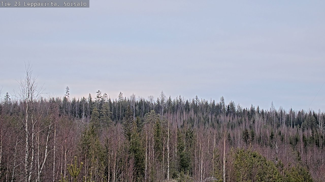 Kelikamerat Kuva Tie 23 Leppävirta, Soisalo, Leppävirta, Pohjois-Savo