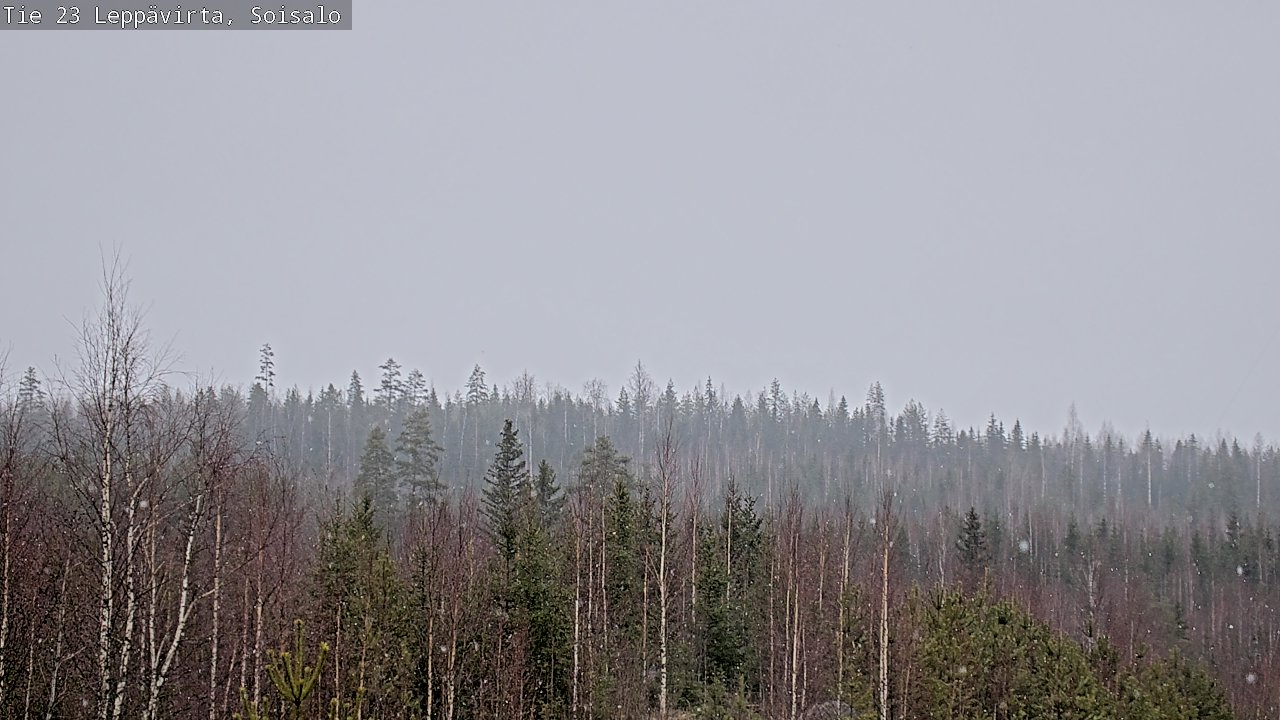 Weather Camera Image Road 23 Leppävirta, Soisalo, Leppävirta, Pohjois-Savo