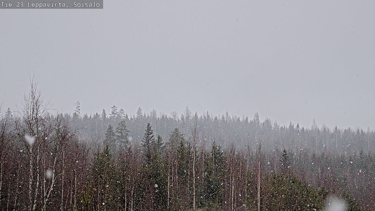 Weather Camera Image Road 23 Leppävirta, Soisalo, Leppävirta, Pohjois-Savo