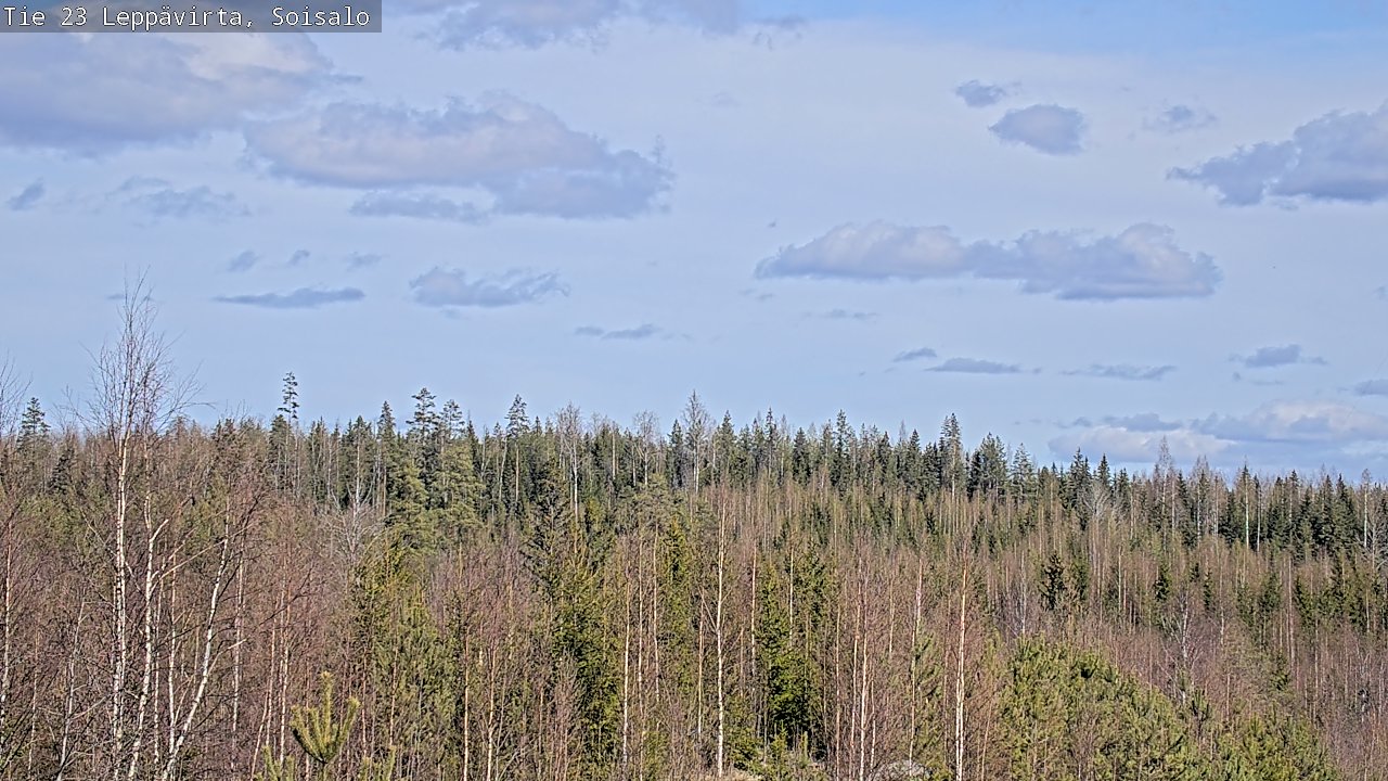 Weather Camera Image Väg 23 Leppävirta, Soisalo, Leppävirta, Pohjois-Savo