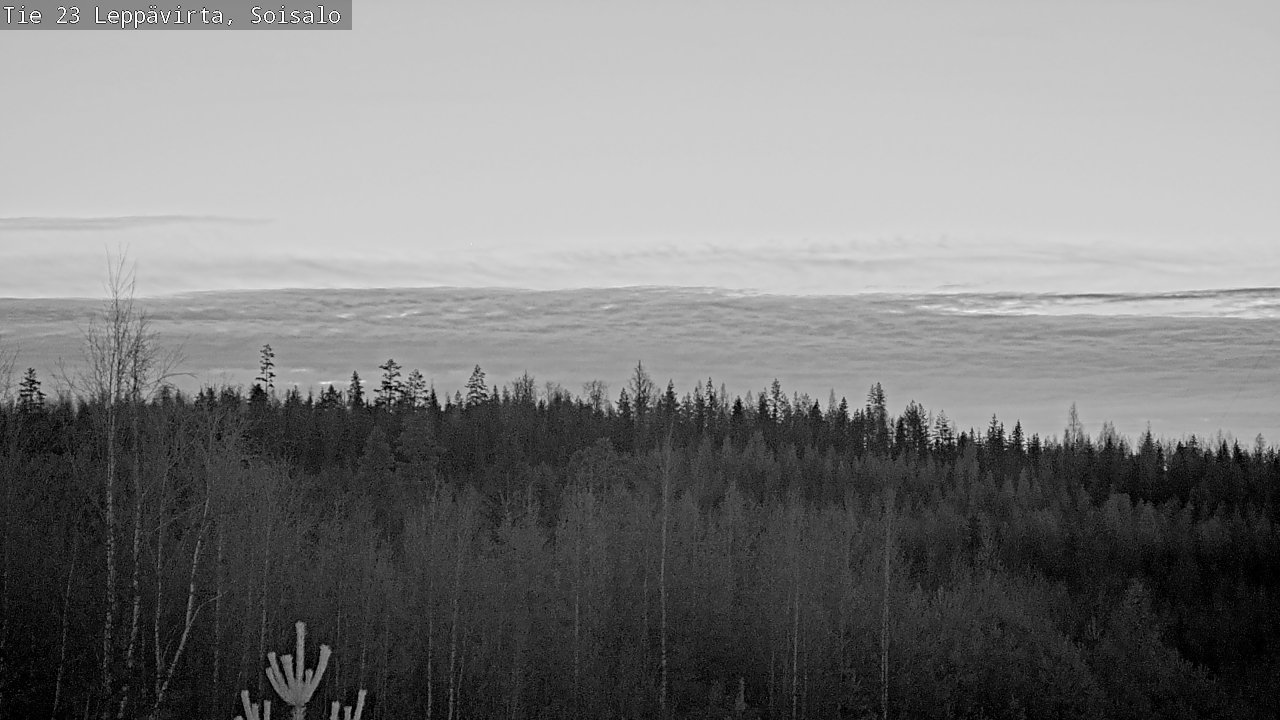 Weather Camera Image Väg 23 Leppävirta, Soisalo, Leppävirta, Pohjois-Savo