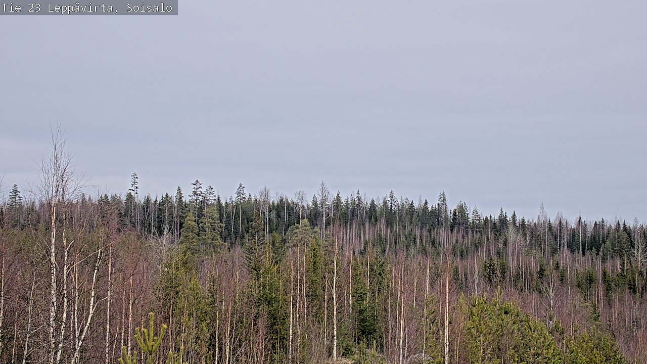 Kelikamerat Kuva Tie 23 Leppävirta, Soisalo, Leppävirta, Pohjois-Savo