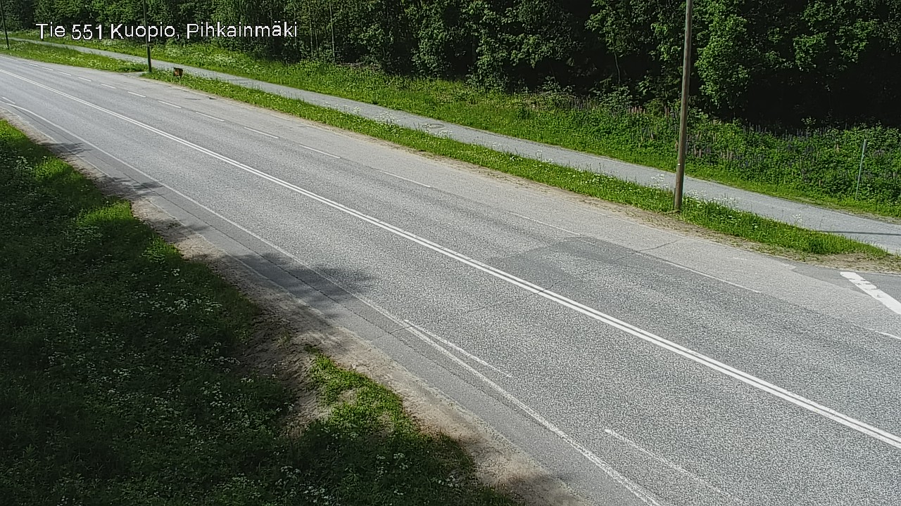 Kelikamerat Kuva Tie 551 Kuopio, Pihkainmäki, Kuopio, Pohjois-Savo