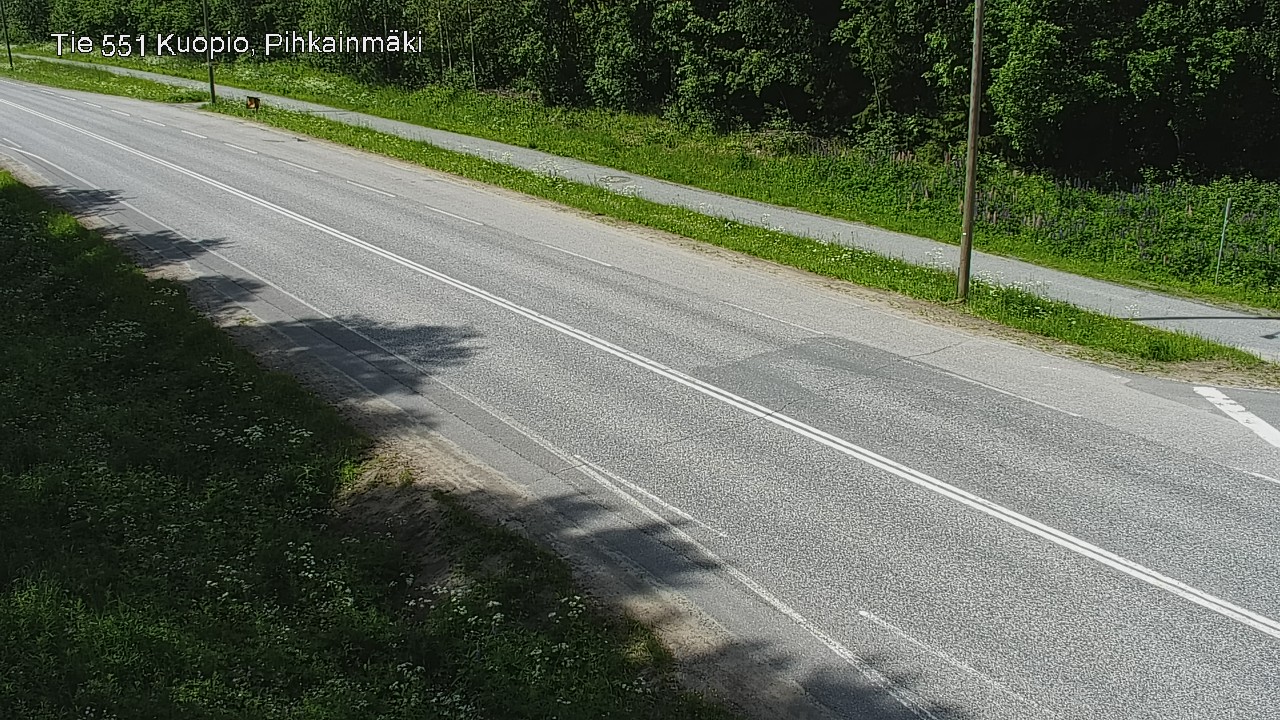 Kelikamerat Kuva Tie 551 Kuopio, Pihkainmäki, Kuopio, Pohjois-Savo