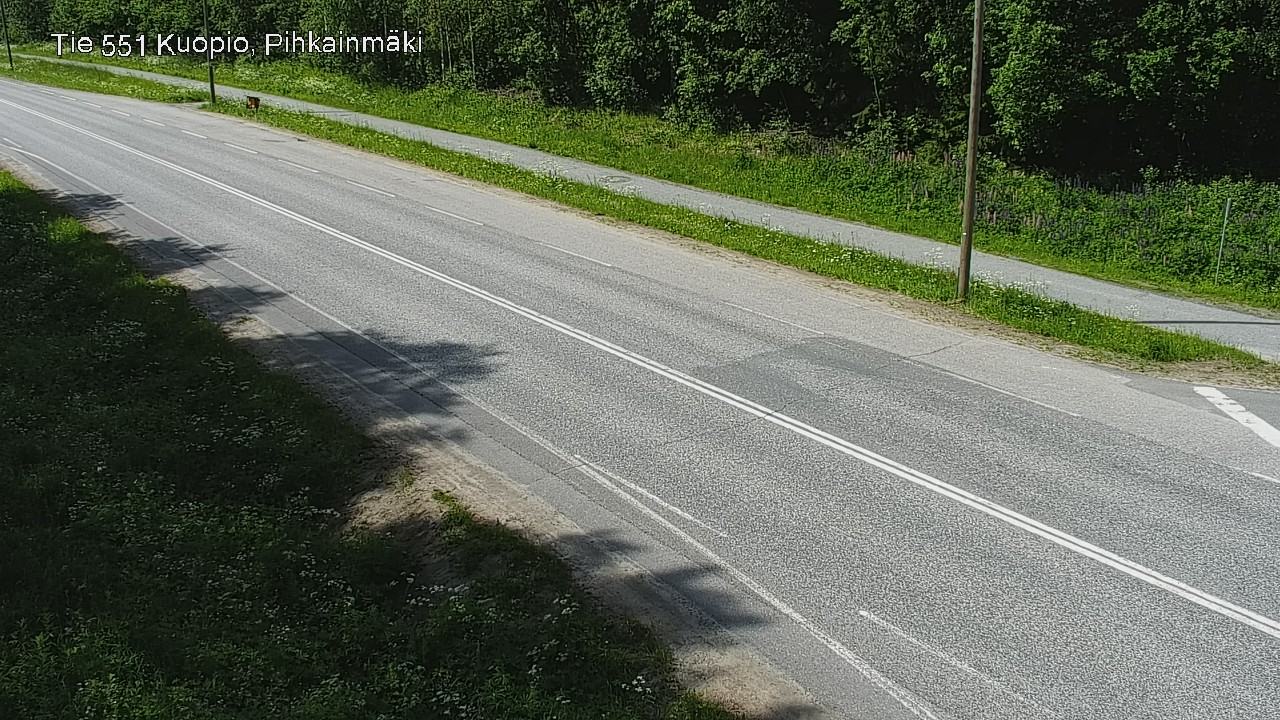 Kelikamerat Kuva Tie 551 Kuopio, Pihkainmäki, Kuopio, Pohjois-Savo