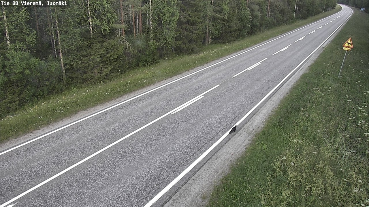 Weather Camera Image Road 88 Vieremä, Isomäki, Vieremä, Pohjois-Savo