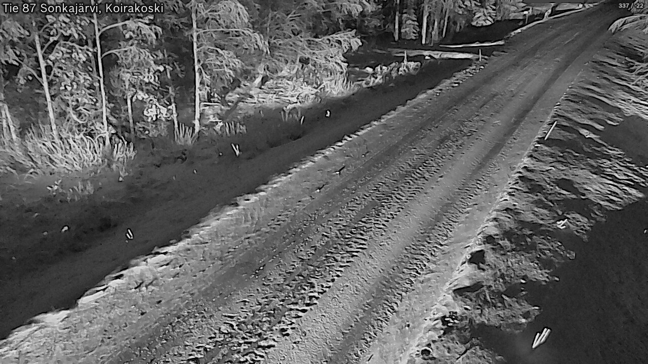 Kelikamerat Kuva Tie 87 Sonkajärvi, Koirako, Sonkajärvi, Pohjois-Savo