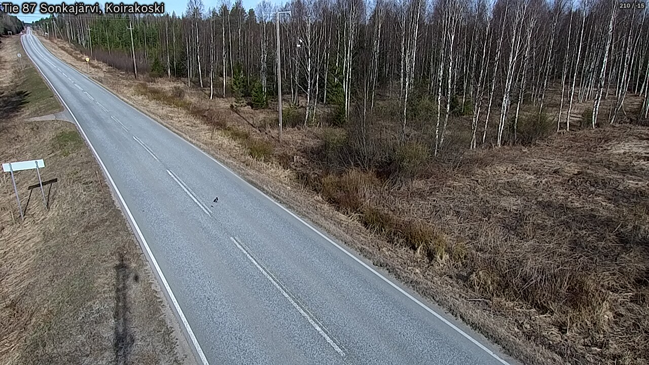 Kelikamerat Kuva Tie 87 Sonkajärvi, Koirako, Sonkajärvi, Pohjois-Savo