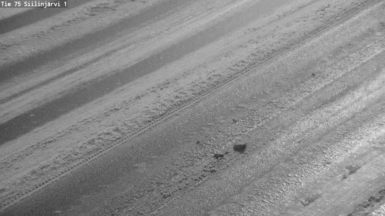 Weather Camera Image Road 75 Siilinjärvi1, Siilinjärvi, Pohjois-Savo