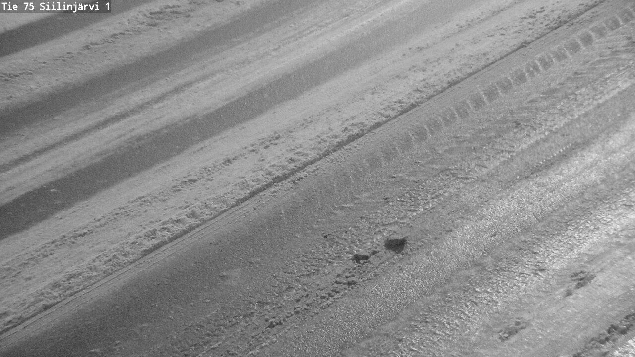 Weather Camera Image Road 75 Siilinjärvi1, Siilinjärvi, Pohjois-Savo