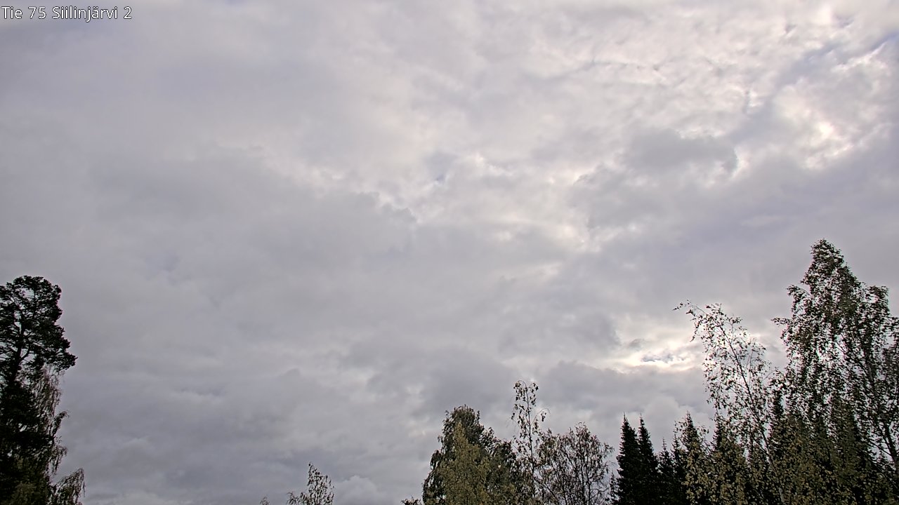 Weather Camera Image Road 75 Siilinjärvi2, Siilinjärvi, Pohjois-Savo