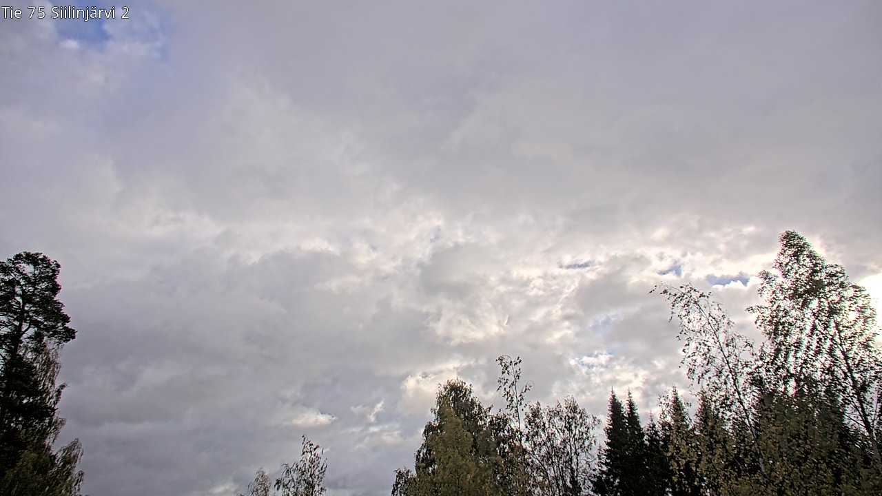 Weather Camera Image Road 75 Siilinjärvi2, Siilinjärvi, Pohjois-Savo