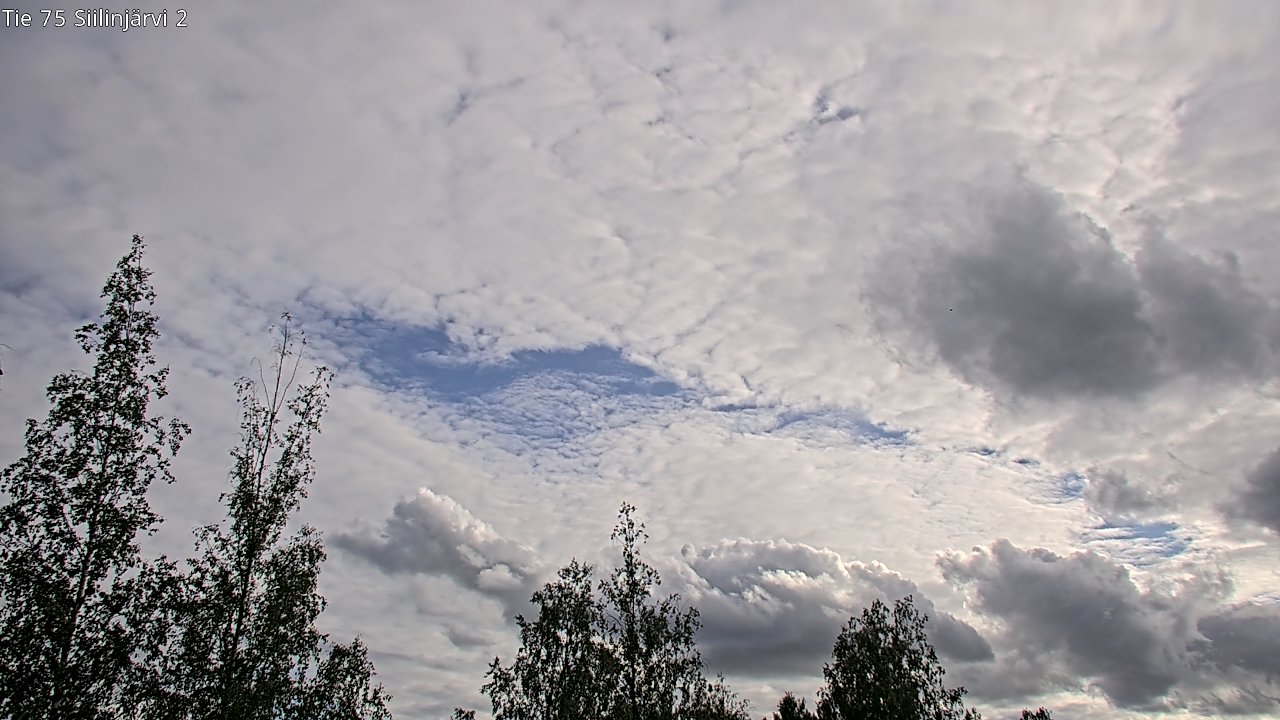 Weather Camera Image Väg 75 Siilinjärvi2, Siilinjärvi, Pohjois-Savo