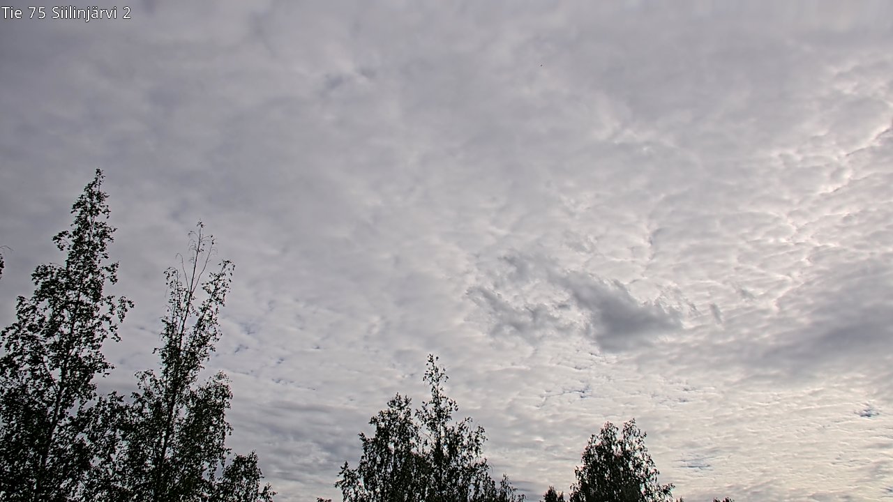 Weather Camera Image Väg 75 Siilinjärvi2, Siilinjärvi, Pohjois-Savo