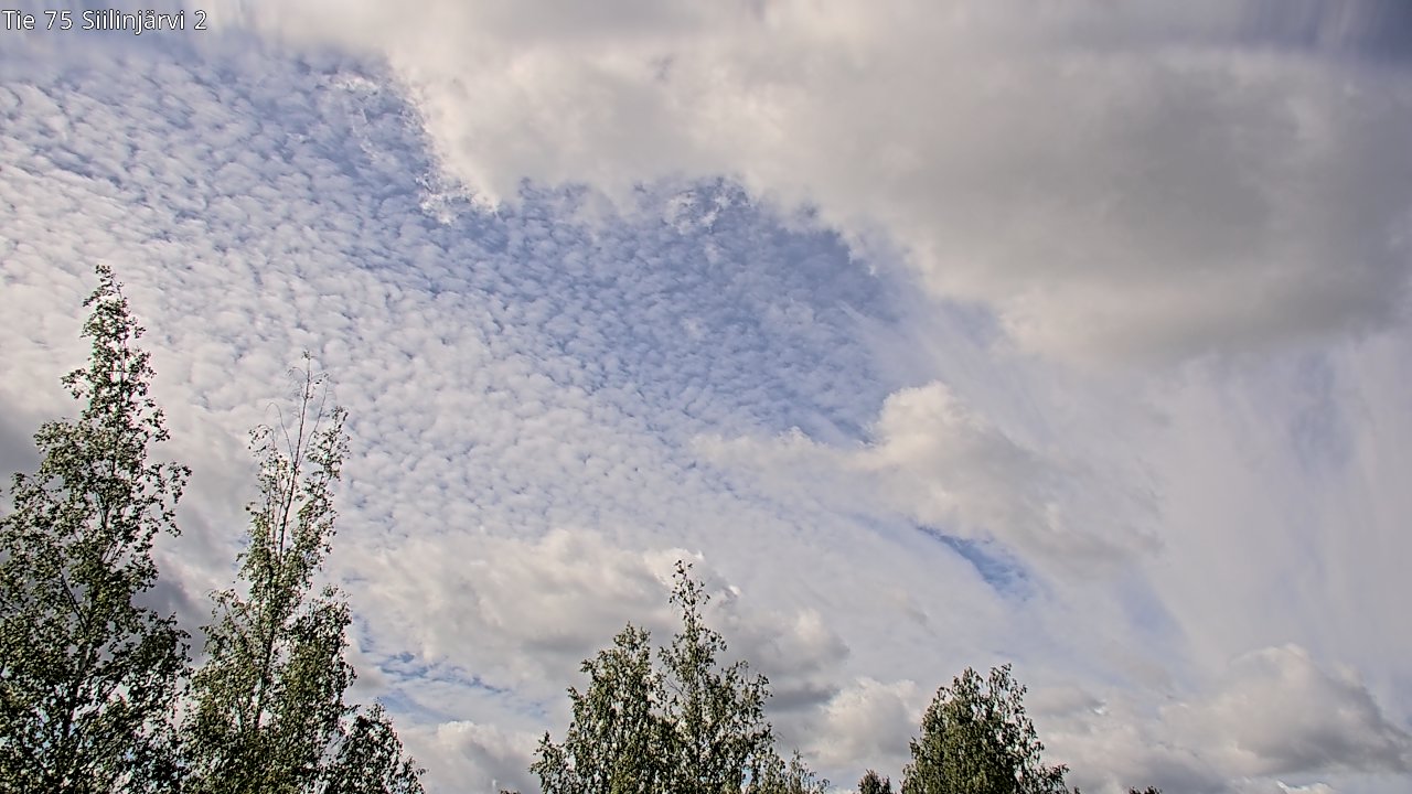 Weather Camera Image Väg 75 Siilinjärvi2, Siilinjärvi, Pohjois-Savo